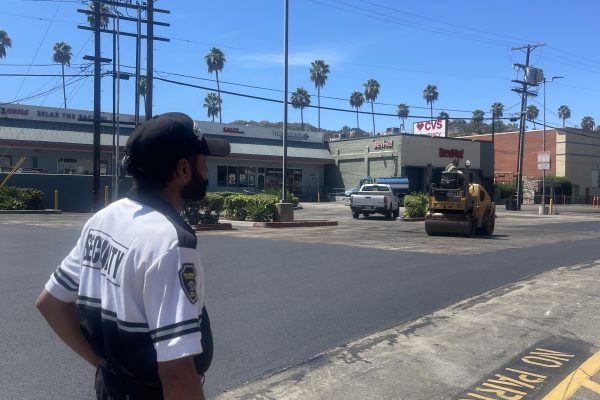 Retail security services in Los Angeles at shopping center